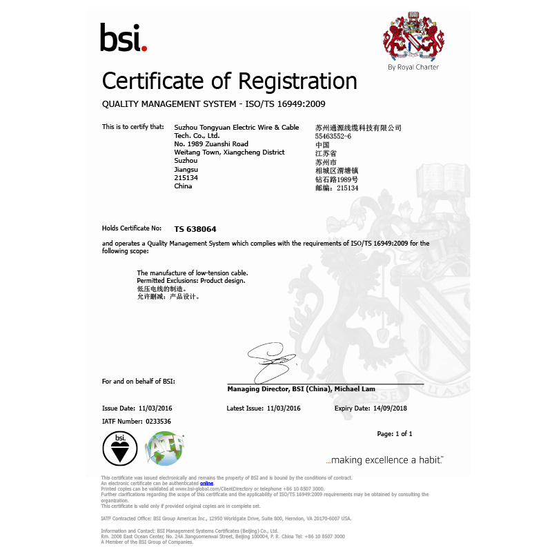 BSI-TS16949